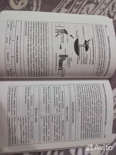 Книга для подготовки к егэ по биологии
