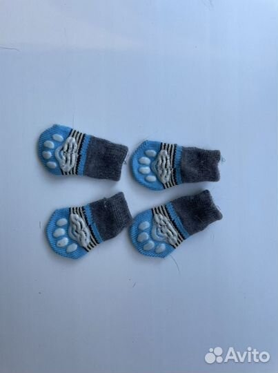 Костюм для маленькой собаки