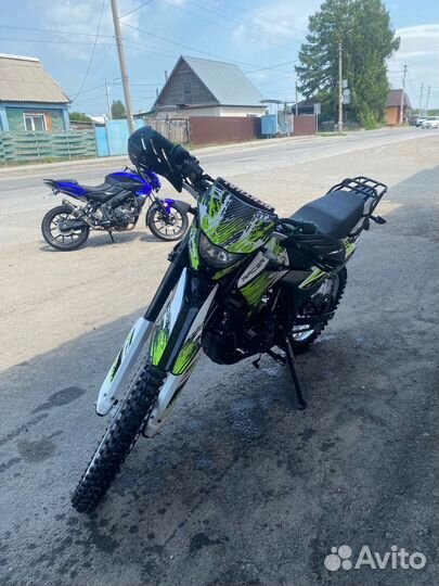 Racer Panther 300