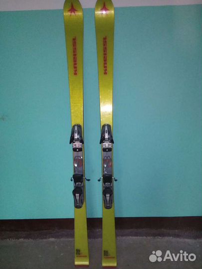 Горные лыжи