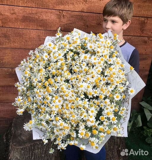 Букеты ромашек