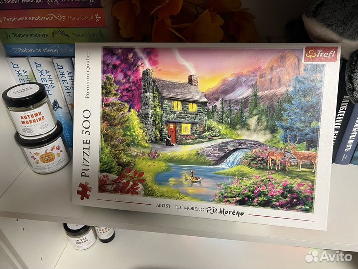 Мозайка 500 деталей