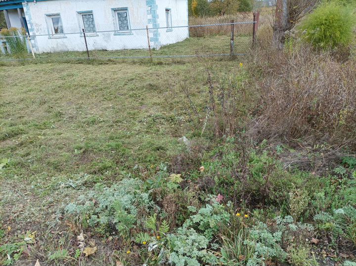 Участок 38 сот. (ИЖС)