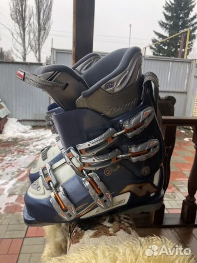 Горнолыжные ботинки