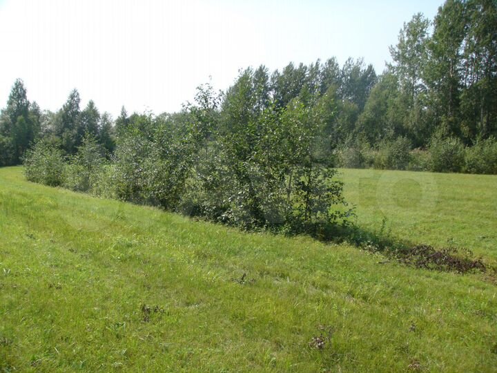 Участок 20 сот. (СНТ, ДНП)