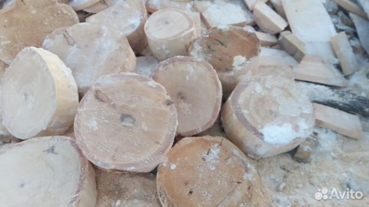 Спилы кедровые