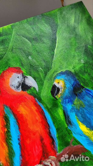 Картина попугаи