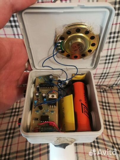 Металлоискатель пират