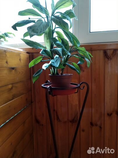 Две подставки под цветы