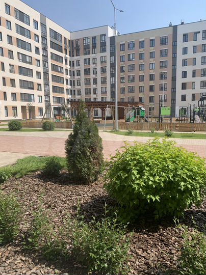 Квартира-студия, 29,6 м², 1/6 эт.