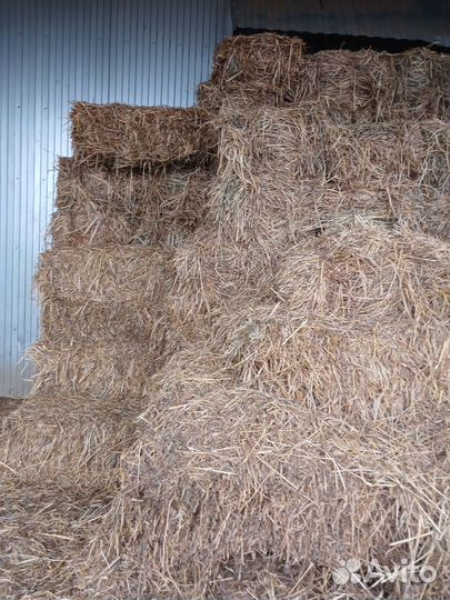 Сено в тюках