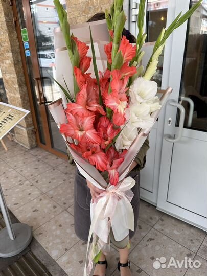 Гладиолусы букет доставка Сочи Адлер