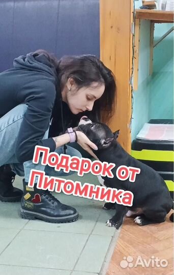 Чёрный Амбулли