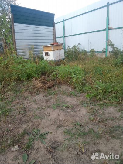 Продам улей с пчелами