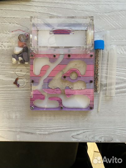 Муравьиная ферма