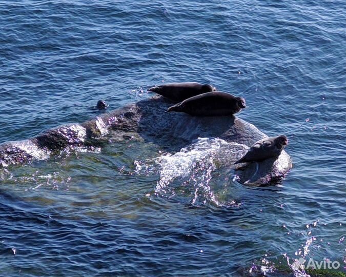 Гид экскурсовод Иркутск Байкал Монголия
