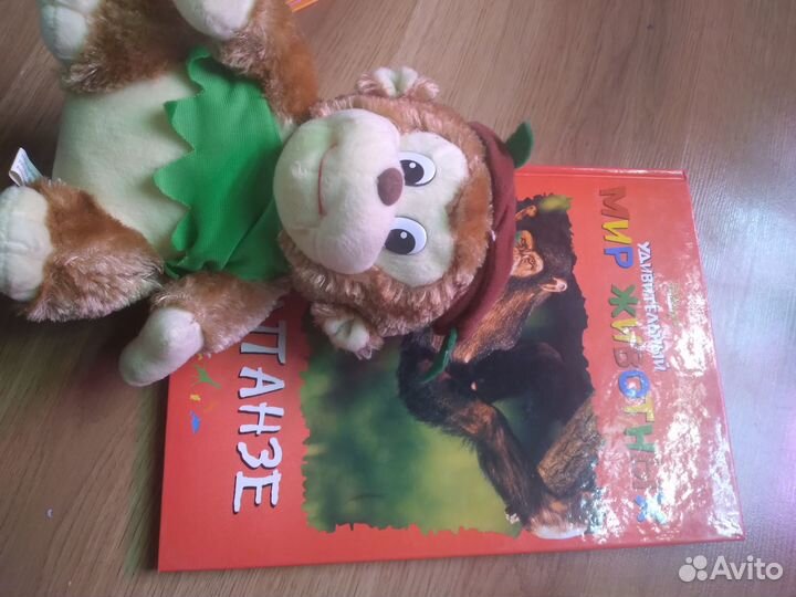 Книги детские про животных, 8 шт с игрушкой