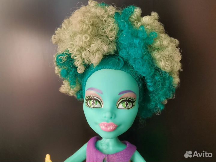 Кукла монстер хай Хани Свомп Люблю аксессуары