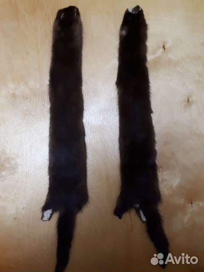 Шкурки норки