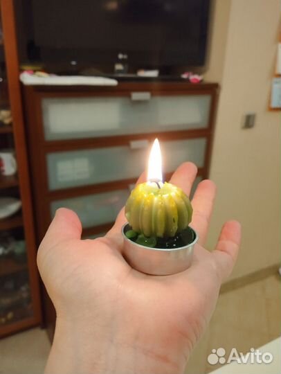 Свечи кактусы