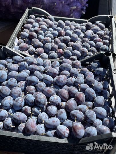 Чернослив на компот варенье