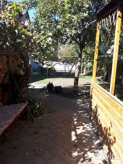 Передержка собак, кошек