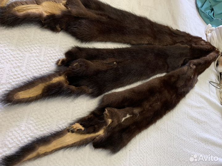 Шкурка норки (чулок)