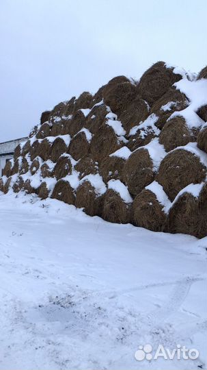 Солома в рулонах