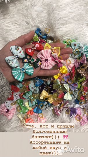 Бантики для собак