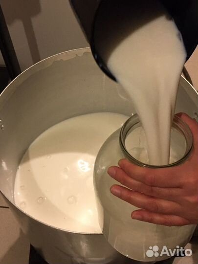 Самое вкусное молоко