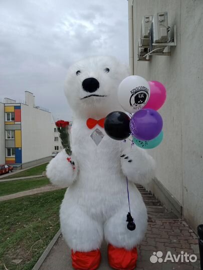 Белый мишка поздравление