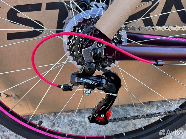 Женский Stern Urban Lady