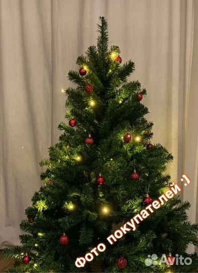 Ель классическая / Доставка