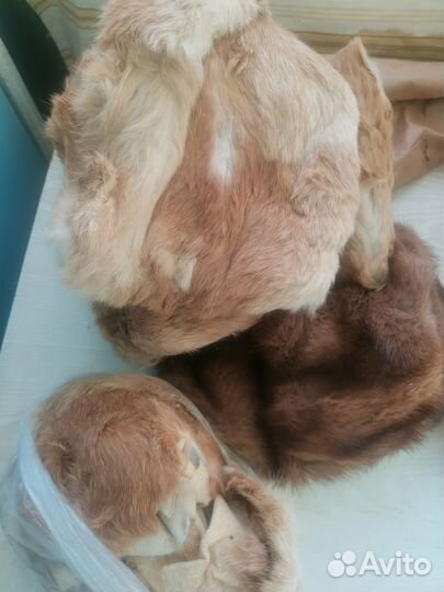 Шкурки лисы