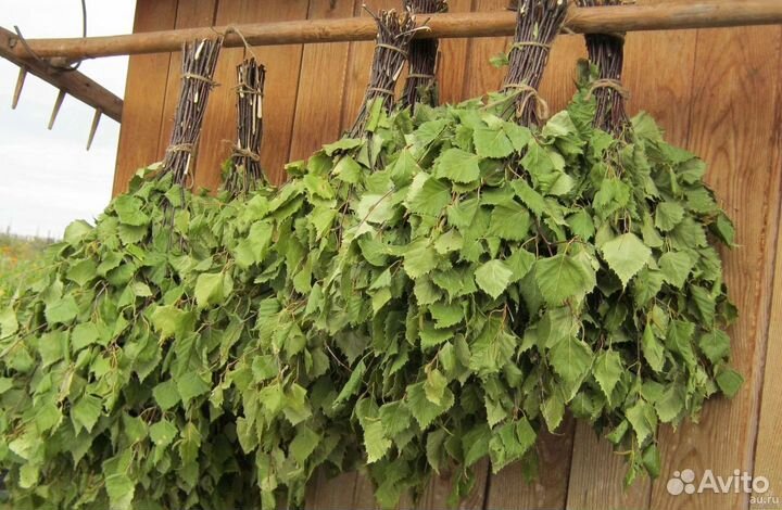 Березовые веники