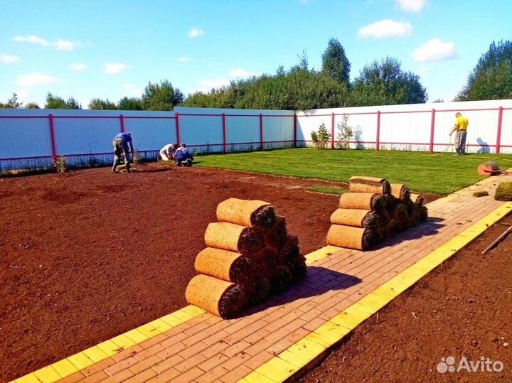Рулонный газон - газон с укладкой