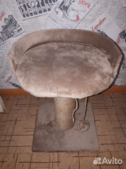 Когтеточка для кошек