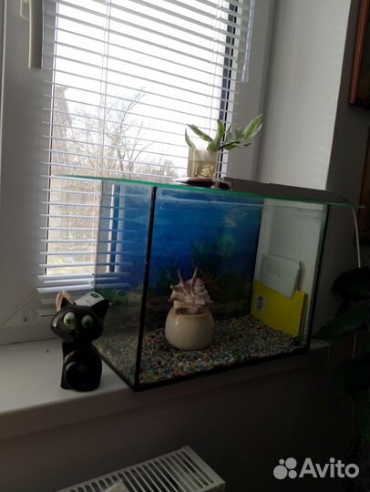 Аквариум 20л