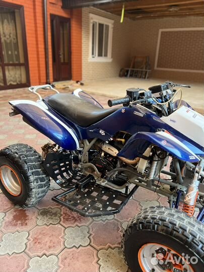 Ирбис 250