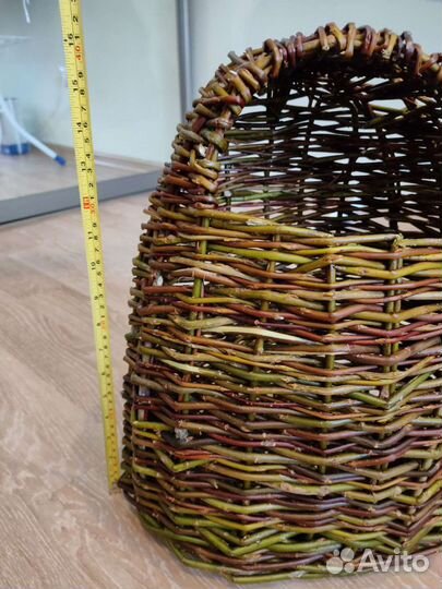 Кузов для грибов