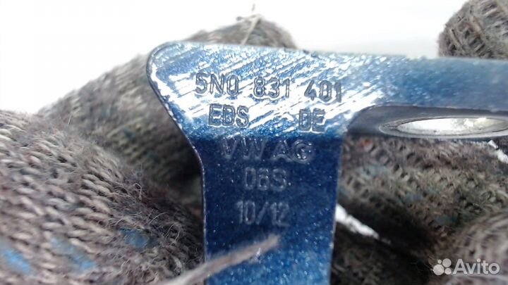 Петля двери Volkswagen Tiguan, 2012