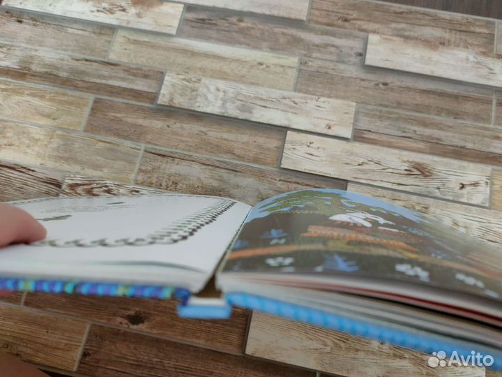 Книга Чудо - радуга