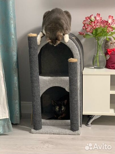 Когтеточка домик для нескольких кошек