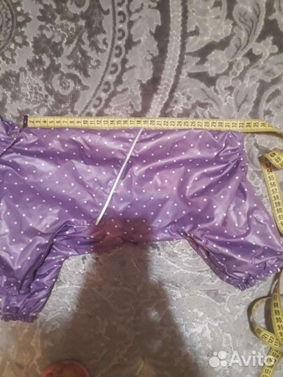 Одежда для маленькой собачки