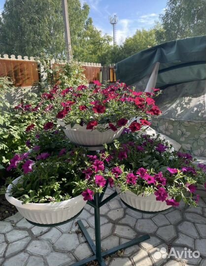 Кустик для петуний (дерево для петуний)