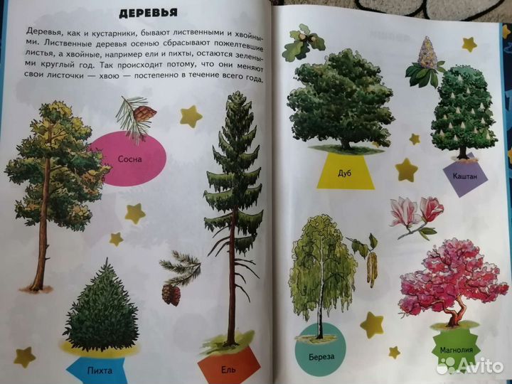 Книги для малышей