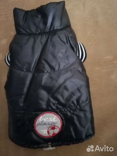 Жилет для собаки