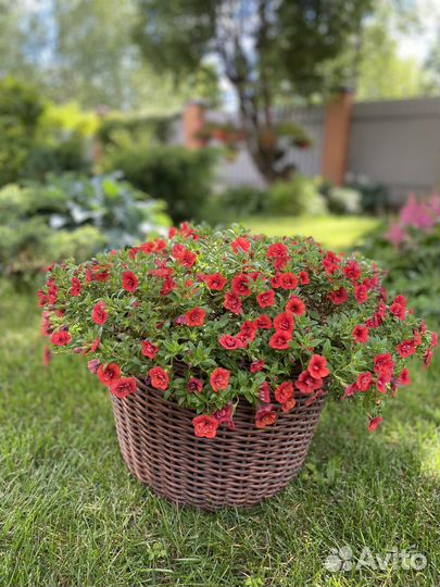 Цветочные Кашпо для летних террасс