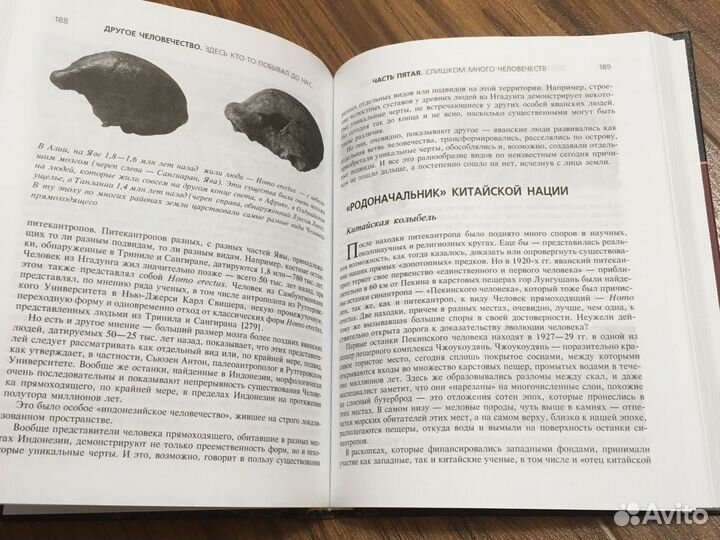 Другое человечество алексей маслов