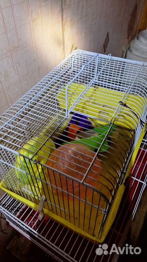 Клетка для грызунов бу